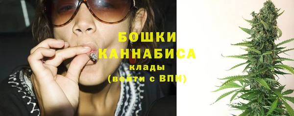 прущая мука Корсаков