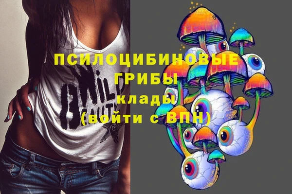 прущая мука Корсаков
