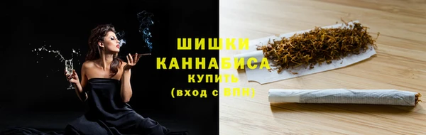 шишки Краснотурьинск