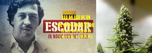 амф Козловка